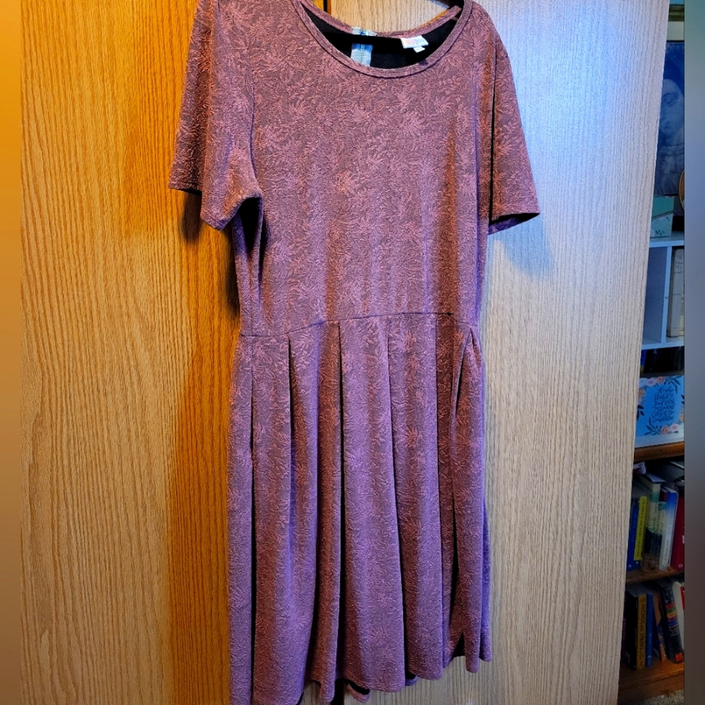 LuLaRoe Pink Amelia Dress